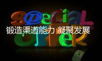 快排公司十年历程，霸屏兔 seo 的崛起与坚守
