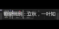 钜豪照明
：立秋，一叶知秋!