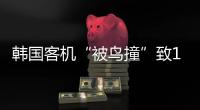 韩国客机“被鸟撞”致179死，飞机和飞鸟之间有几道防线
？丨漫热点