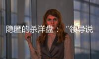 隐匿的杀洋盘：“领导说是帮外国用户保管虚拟币”