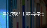 零的突破！中国科学家选育成功双季早粳稻