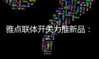 雅点联体开关力推新品�：拉丝黑开关