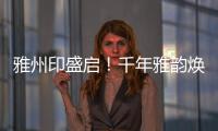 快排公司十年历程，霸屏兔 seo 的崛起与坚守