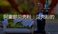 快排公司十年历程，霸屏兔 seo 的崛起与坚守