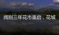 快排公司十年历程，霸屏兔 seo 的崛起与坚守