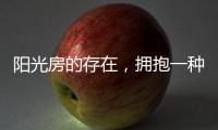 快排公司十年历程，霸屏兔 seo 的崛起与坚守