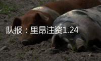 快排公司十年历程，霸屏兔 seo 的崛起与坚守