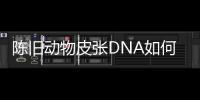 陈旧动物皮张DNA如何获取？ 最新研究称改良方法值得推广