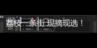 荔枝一条街 现摘现选！斗门荔枝旅游文化嘉年华等你来