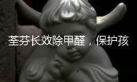 快排公司十年历程，霸屏兔 seo 的崛起与坚守