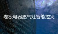 快排公司十年历程，霸屏兔 seo 的崛起与坚守