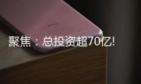 聚焦�：总投资超70亿!三棵树�、东方雨虹	、富思特等项目被列为省重点项目