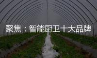聚焦
	：智能厨卫十大品牌2020年立足点在哪里?