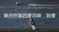 快排公司十年历程，霸屏兔 seo 的崛起与坚守