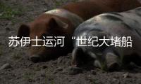 苏伊士运河“世纪大堵船”
，对中国有啥影响？