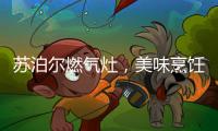 苏泊尔燃气灶，美味烹饪开启低碳生活