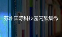 苏州国际科技园闪耀集微大会，展现千亿级“硬核科技”实力