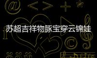 快排公司十年历程，霸屏兔 seo 的崛起与坚守