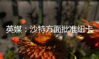 英媒	：沙特方面批准纽卡高价签伊兰加，目标还包括格伊等国脚球员