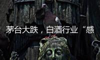 茅台大跌
，白酒行业“感受到冷气”