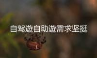 快排公司十年历程，霸屏兔 seo 的崛起与坚守