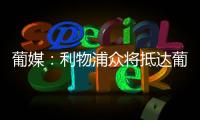 快排公司十年历程，霸屏兔 seo 的崛起与坚守