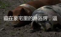 藏在豪宅里的淋浴房	，逼格简直不要太高……