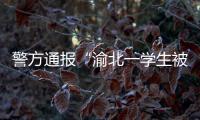 警方通报“渝北一学生被人贩子针扎后昏迷”：嫌疑人已被刑拘