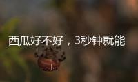 西瓜好不好，3秒钟就能验	！验瓜师有啥技巧？