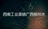 快排公司十年历程，霸屏兔 seo 的崛起与坚守