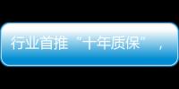 快排公司十年历程，霸屏兔 seo 的崛起与坚守