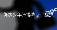 衡水少年张锡峰
，“猪拱白菜”之后
