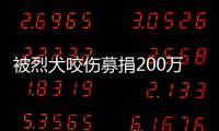 被烈犬咬伤募捐200万争议	：医院称未开证明
，轻松筹称家属自估金额