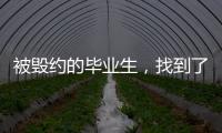 被毁约的毕业生
，找到了更好的工作丨记者手记
