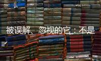 被误解、忽视的它	
：不是凉拌菜
，退化形势严峻｜世界海草日