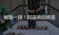 快排公司十年历程，霸屏兔 seo 的崛起与坚守