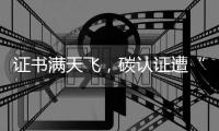 证书满天飞
，碳认证遭“大扫除”