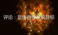 评论：足协自荐系统目标需更加明确