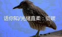 话你知/光储直柔：低碳建筑秘籍