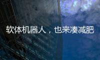 软体机器人�
，也来凑减肥药的热闹了
