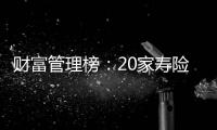 财富管理榜：20家寿险公司，哪家更擅长管理“养老钱”和“保命钱”�？