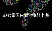 快排公司十年历程，霸屏兔 seo 的崛起与坚守