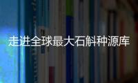 走进全球最大石斛种源库：探索野生石斛种质资源异地保护
