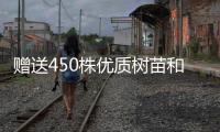 赠送450株优质树苗和花苗，珠海城管部门助力茂名美丽乡村建设