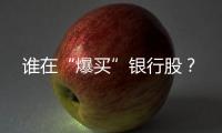 谁在“爆买”银行股？