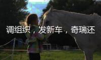 调组织，发新车，奇瑞还在为上市备战