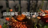 迎战猪年，中国十大门业品牌深耕精众圈子