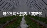 近9万网友围观！高新区这场自然与文明的“云约会”太赞了