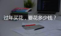 过年买花，要花多少钱？｜春节账单③