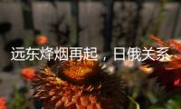 远东烽烟再起，日俄关系为何再度紧张？丨智库视点